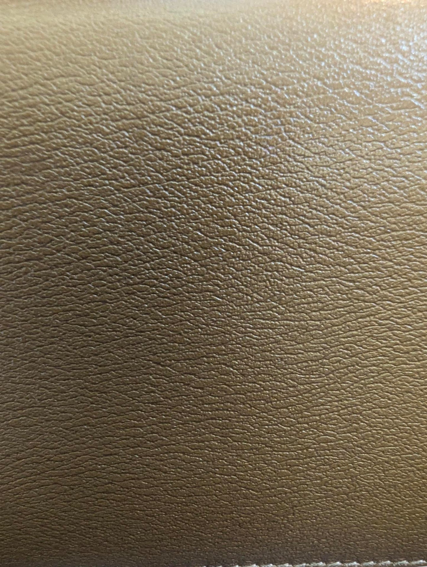 Loewe Gold Leather Long Wallet