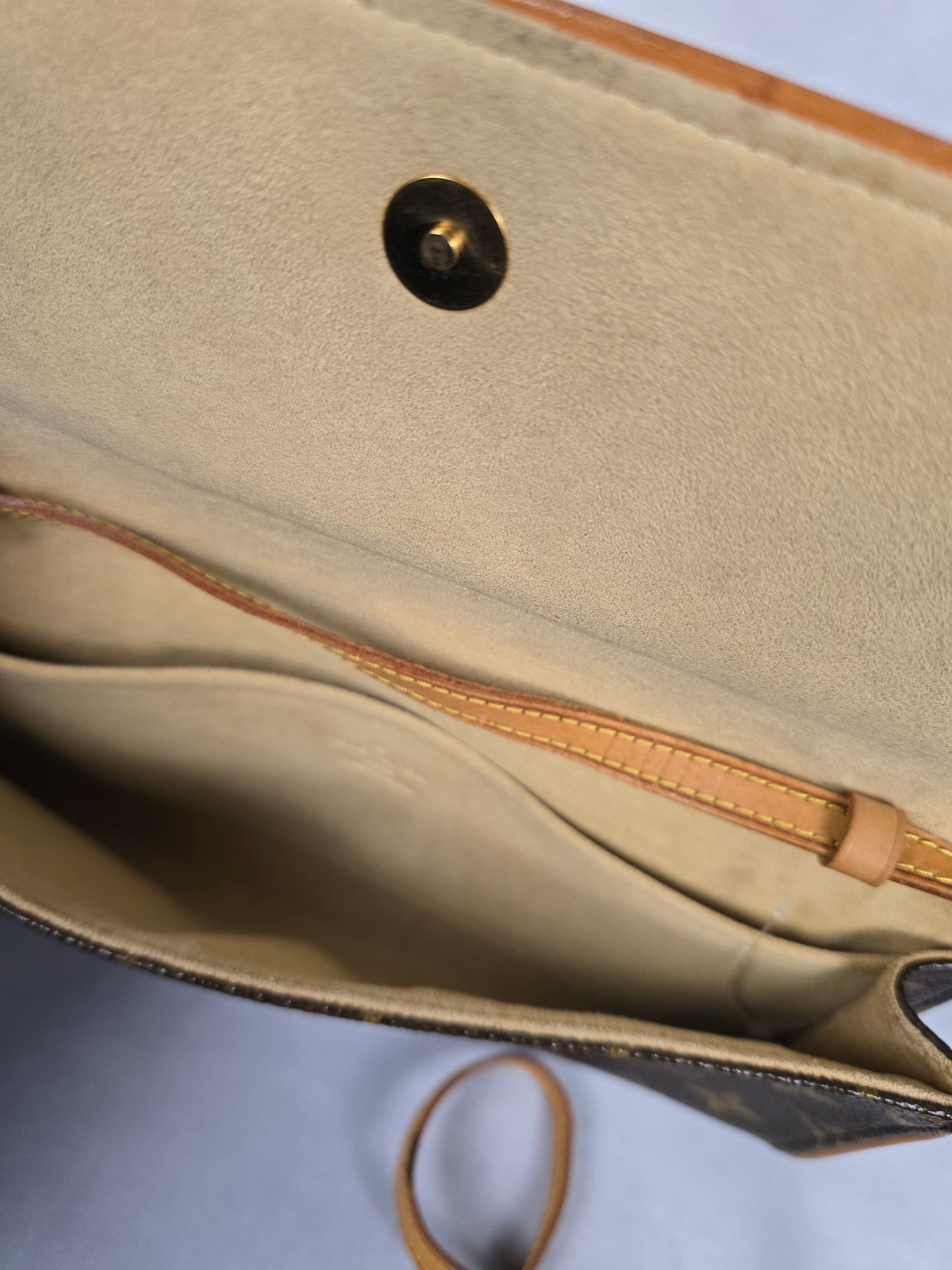 Louis Vuitton Twin Pochette GM