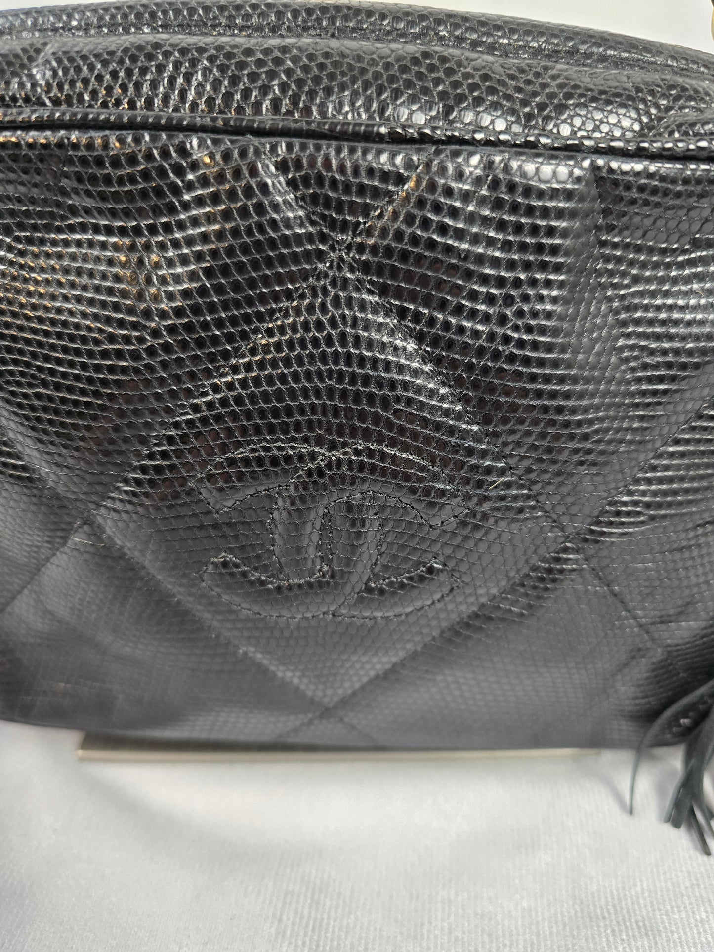 Chanel Vintage Exotic Leather CC Camera Bag