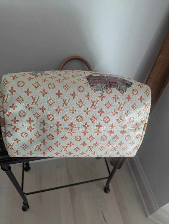 Louis Vuitton x Grace Coddington Catogram Monogram Canvas Speedy 30 Bandouliere