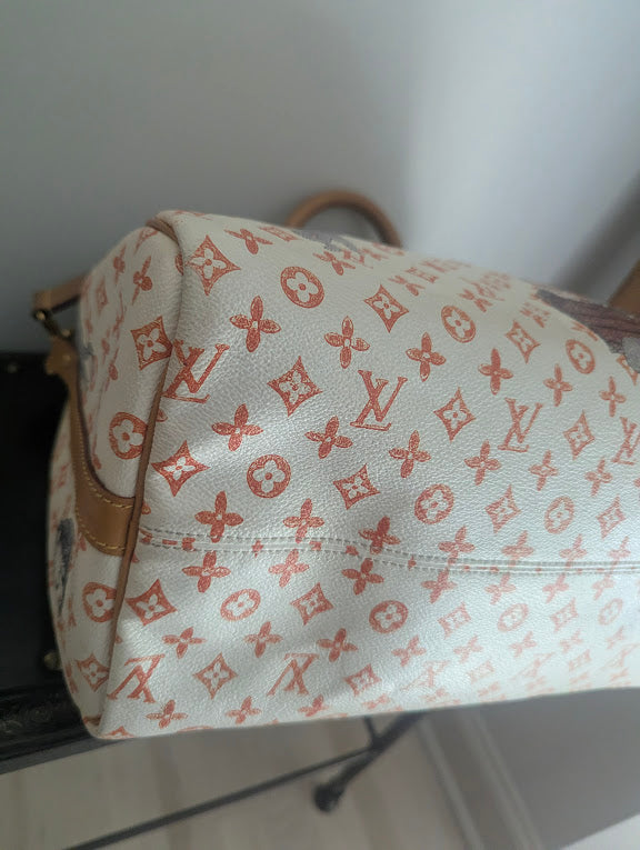 Louis Vuitton x Grace Coddington Catogram Monogram Canvas Speedy 30 Bandouliere