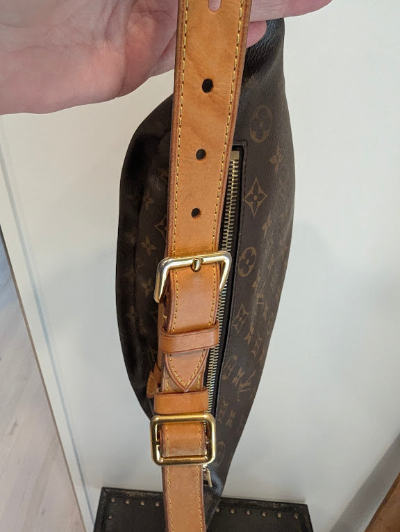Louis Vuitton Monogram Bumbag