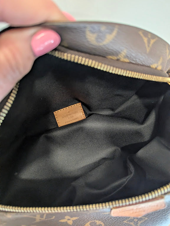 Louis Vuitton Monogram Bumbag