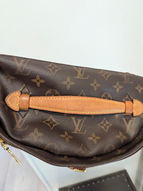 Louis Vuitton Monogram Bumbag