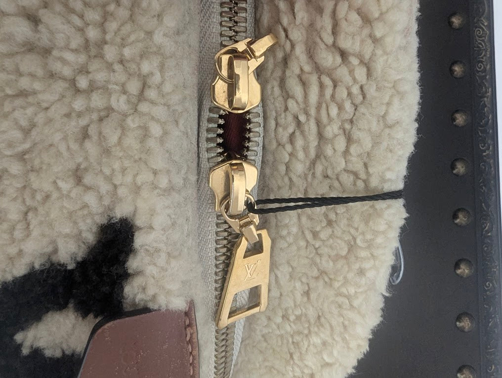 Louis Vuitton Monogram Teddy Bumbag