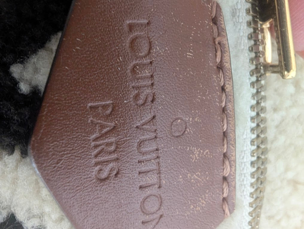 Louis Vuitton Monogram Teddy Bumbag