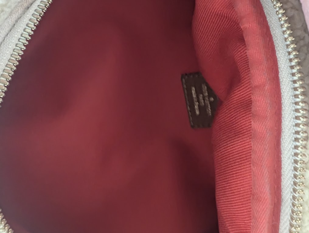 Louis Vuitton Monogram Teddy Bumbag
