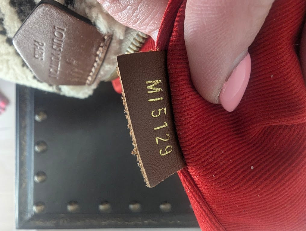 Louis Vuitton Monogram Teddy Bumbag