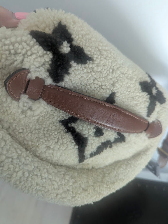 Louis Vuitton Monogram Teddy Bumbag