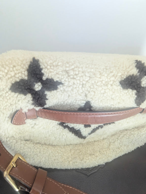 Louis Vuitton Monogram Teddy Bumbag