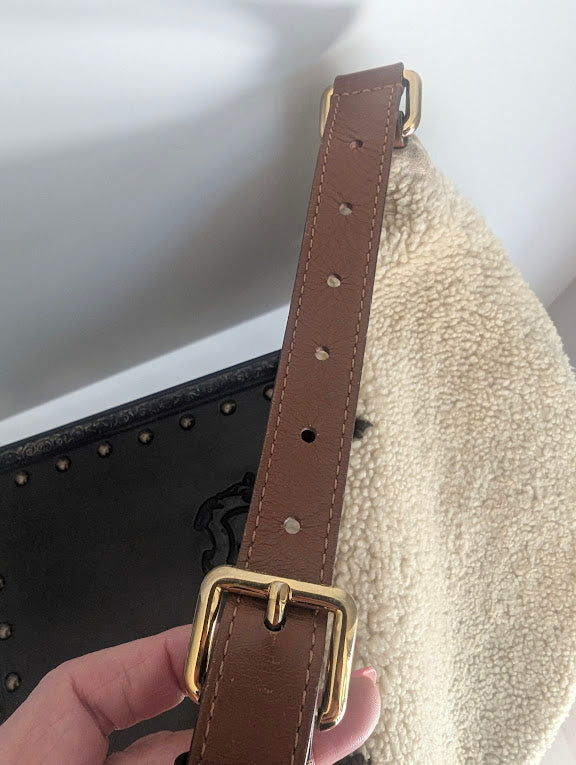 Louis Vuitton Monogram Teddy Bumbag