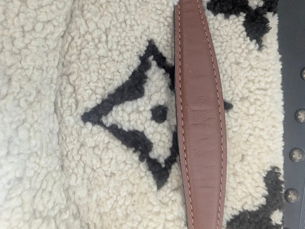 Louis Vuitton Monogram Teddy Bumbag