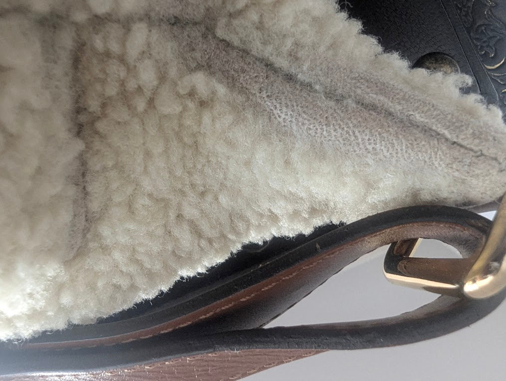 Louis Vuitton Monogram Teddy Bumbag