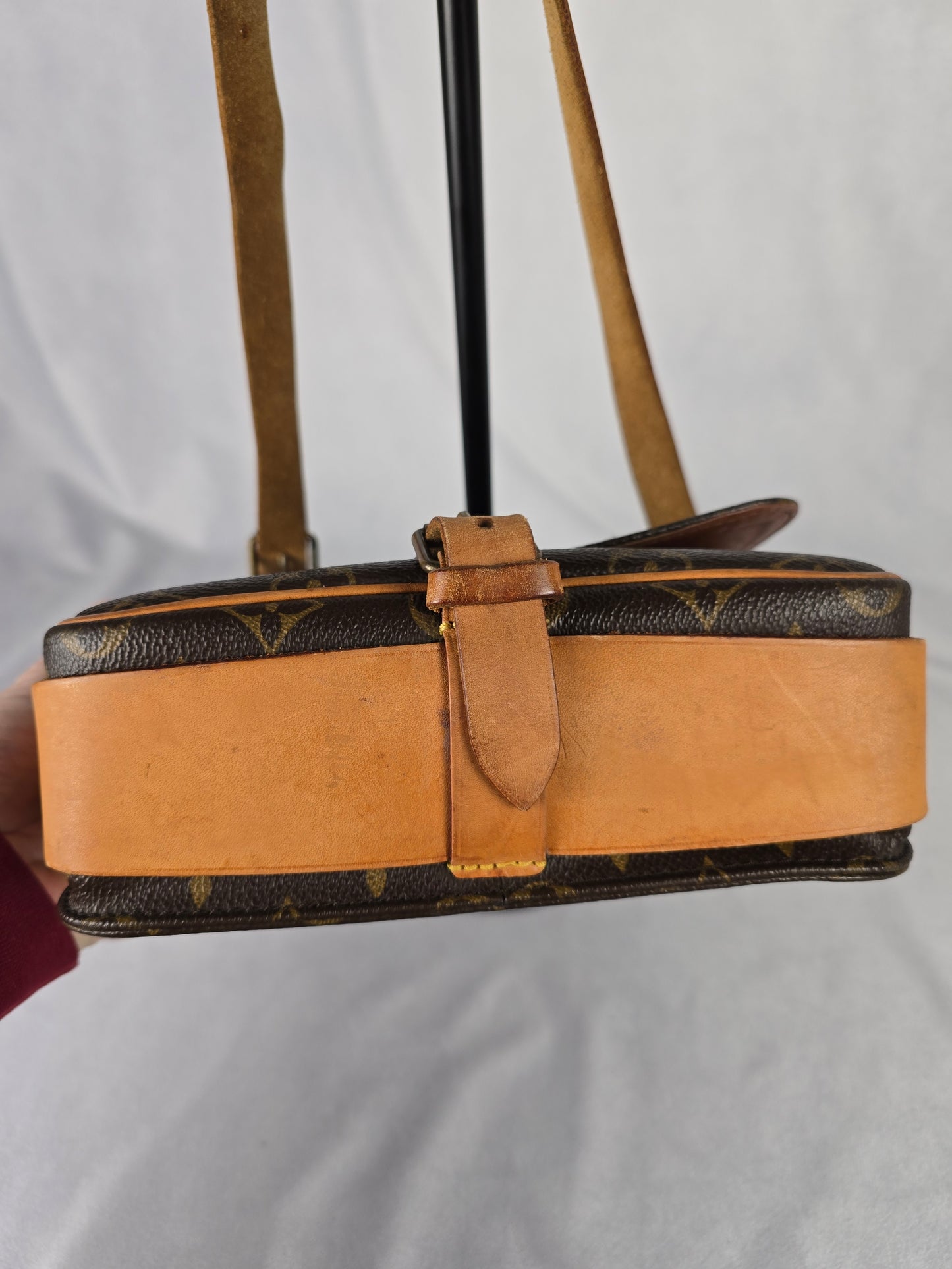 Louis Vuitton Monogram Cartouchiere MM shoulder bag