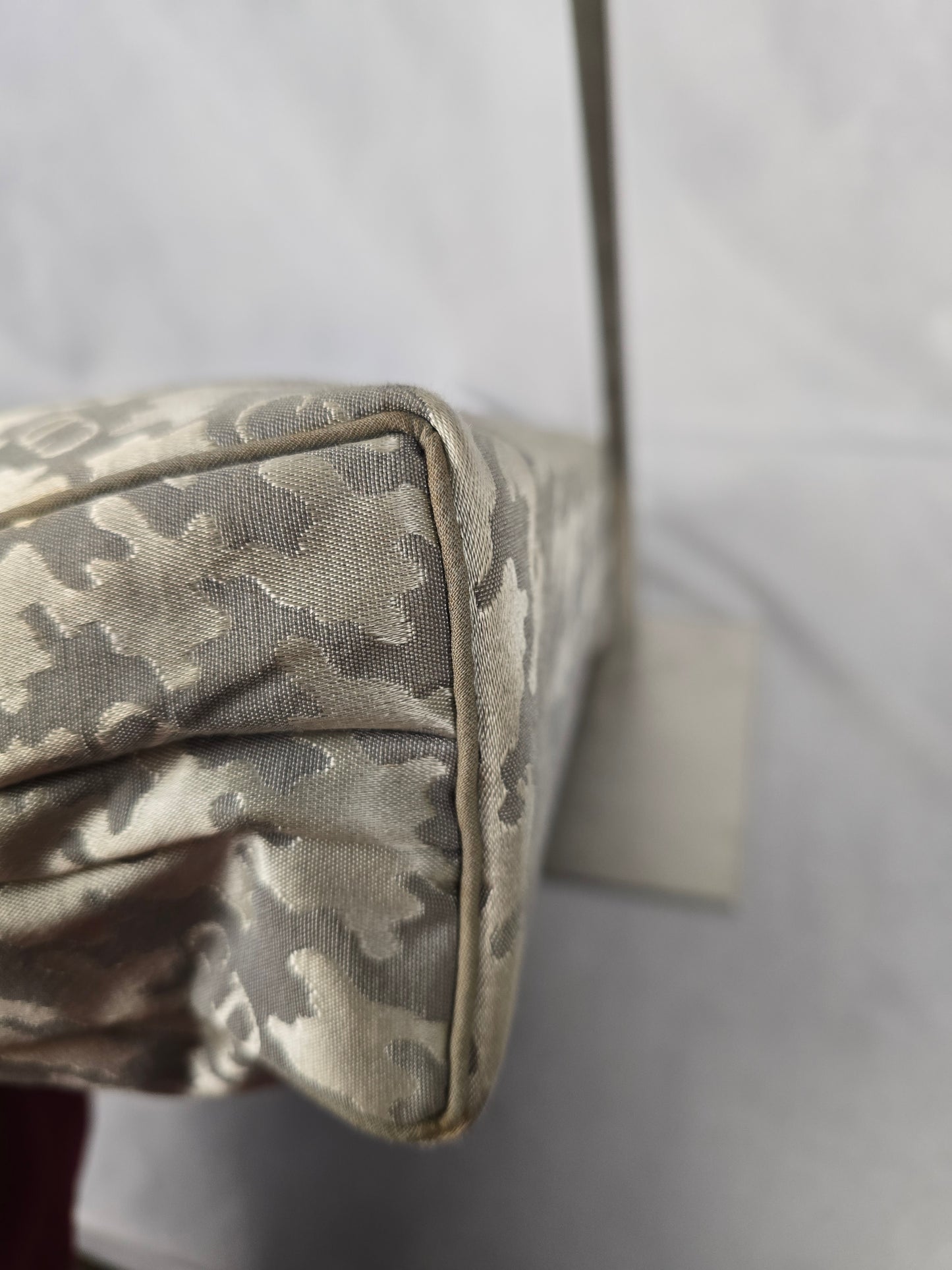 Christian Dior Travel Bag