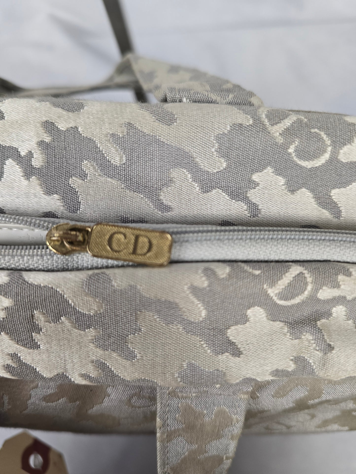 Christian Dior Travel Bag