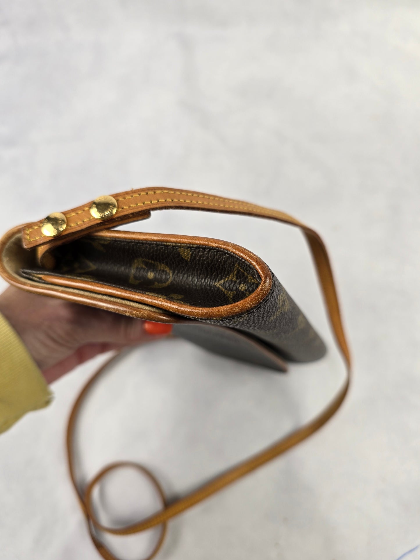 Louis Vuitton Twin Pochette GM