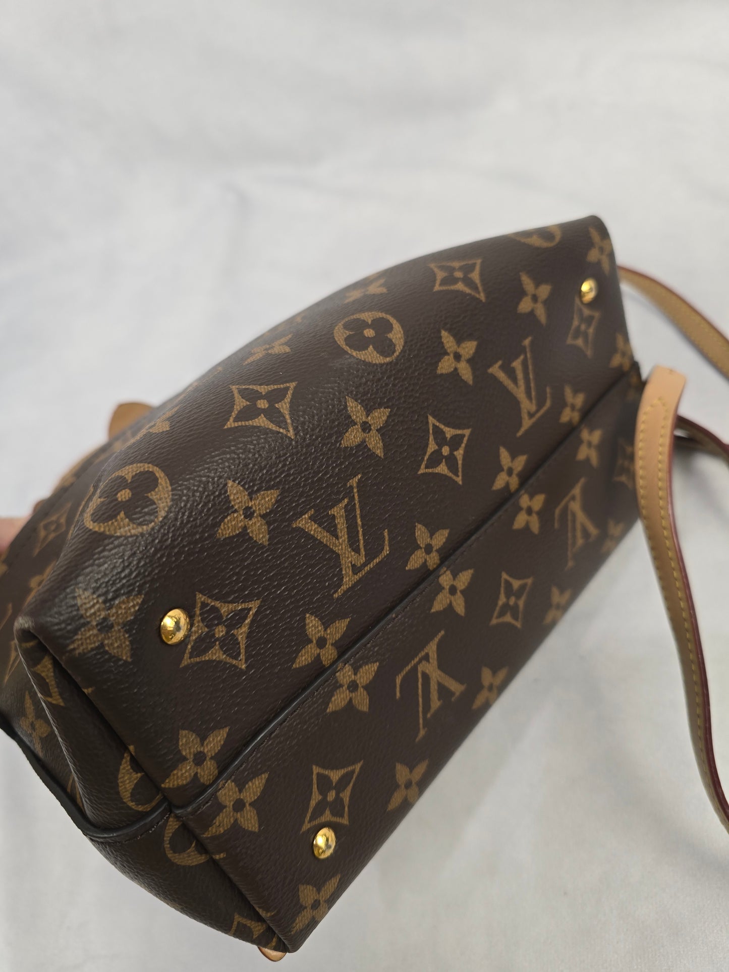 Louis Vuitton Monogram Moon Backpack