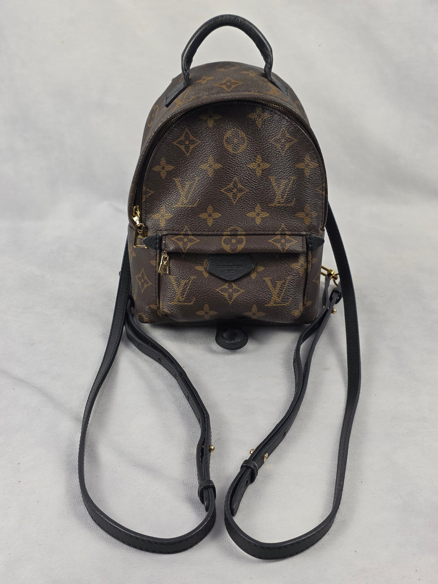 Louis Vuitton Monogram Palm Springs Mini Backpack (CA1148)