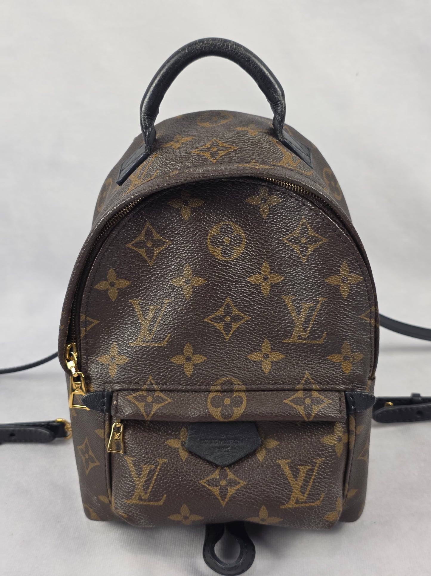 Louis Vuitton Monogram Palm Springs Mini Backpack (CA1148)