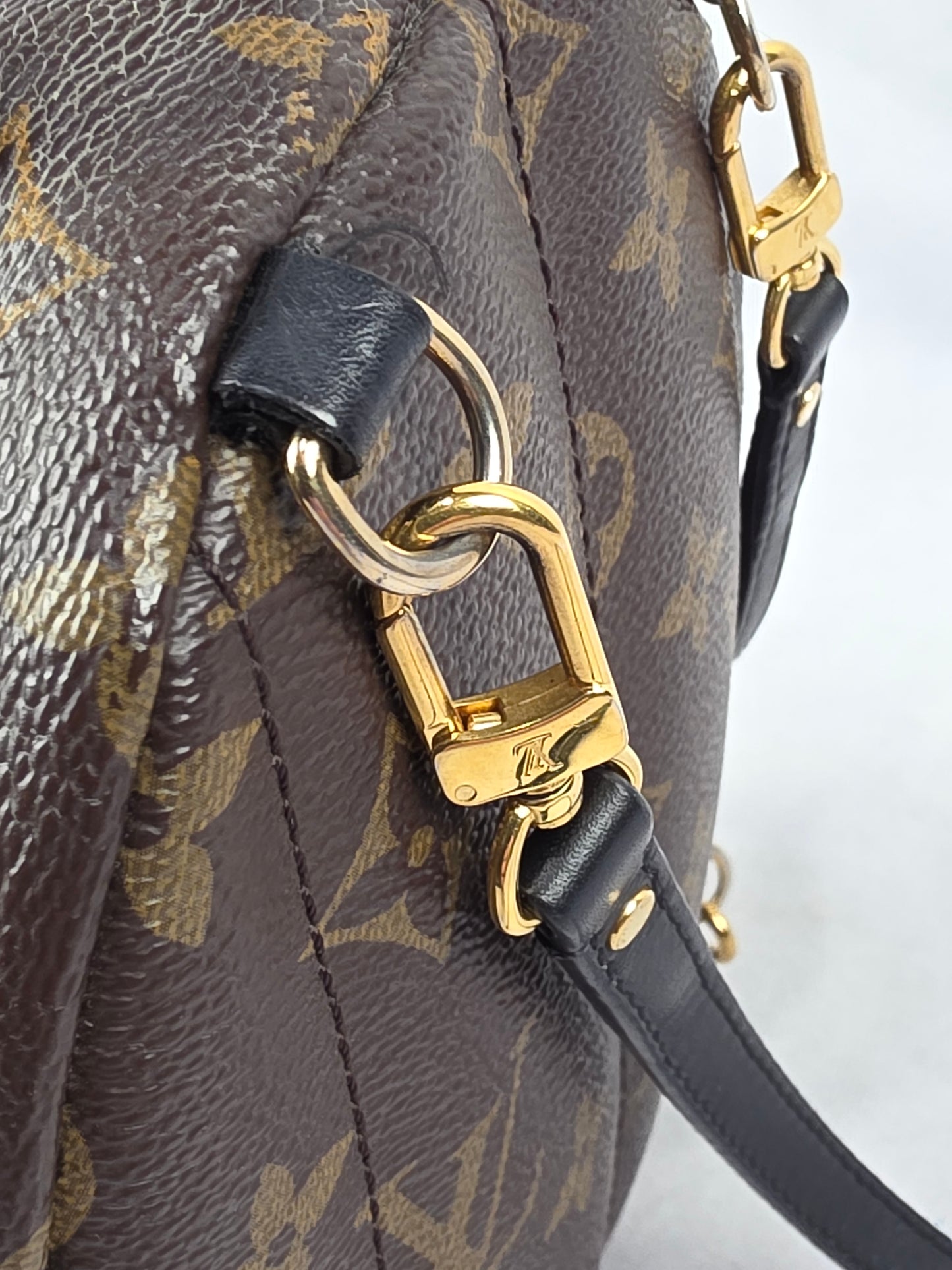 Louis Vuitton Monogram Palm Springs Mini Backpack (CA1148)