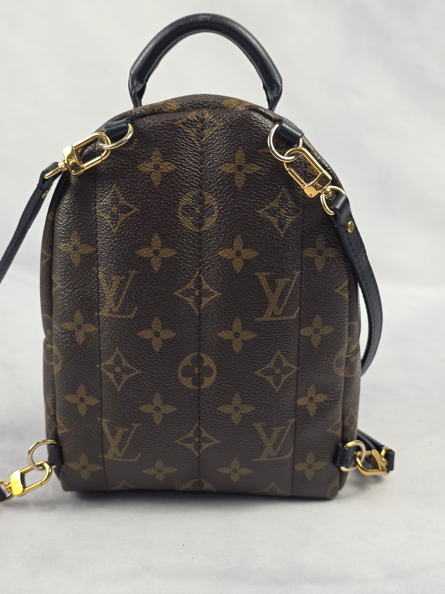 Louis Vuitton Monogram Palm Springs Mini Backpack (CA1148)