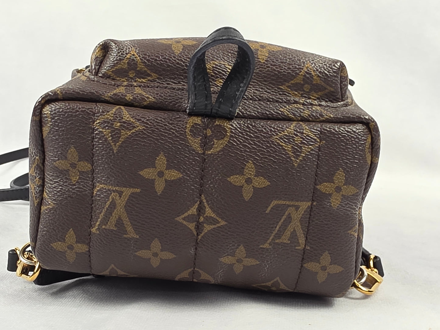 Louis Vuitton Monogram Palm Springs Mini Backpack (CA1148)