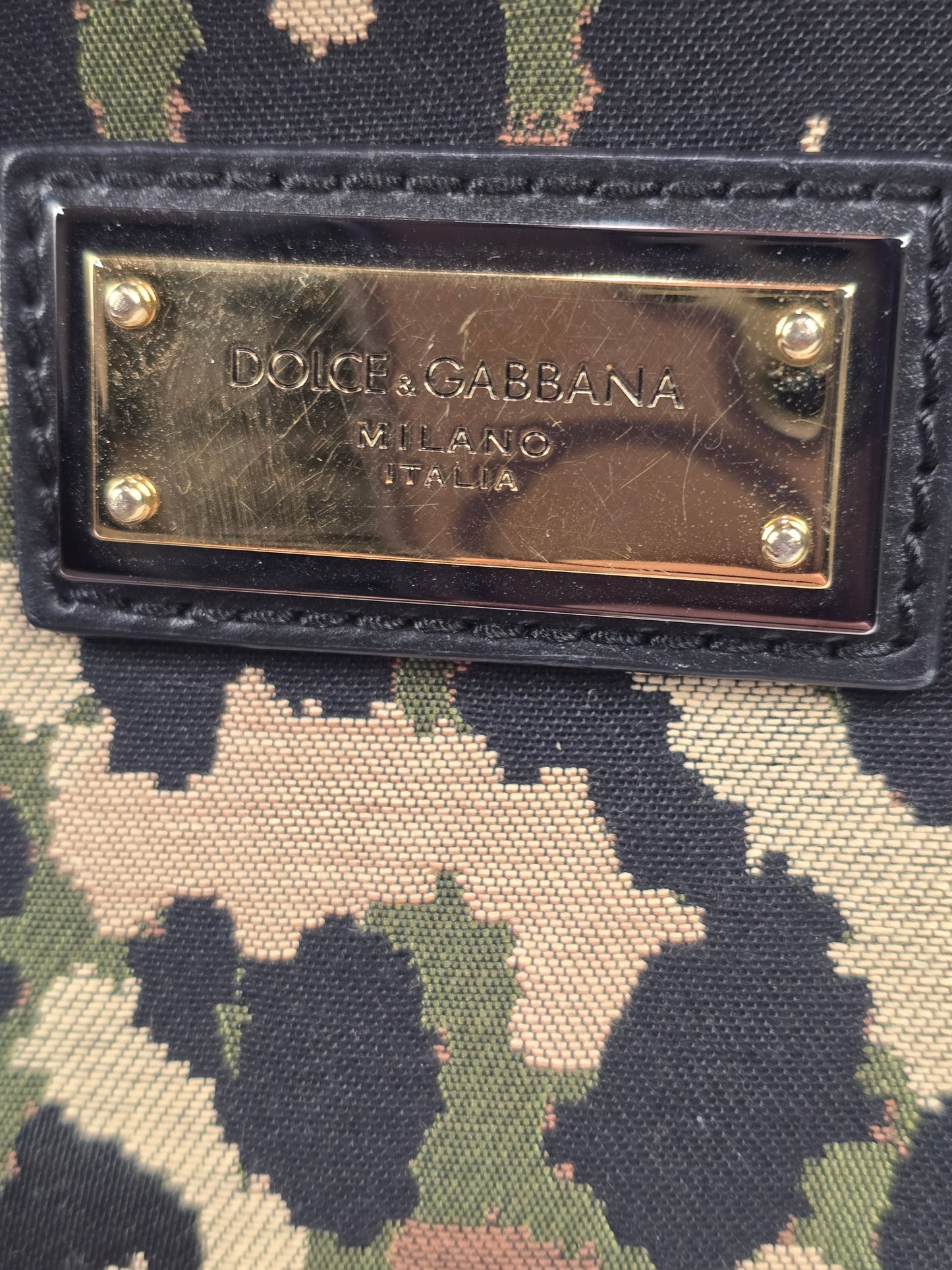 Dolce and Gabbana Multicolor Leopard DG Waist/Belt Bag