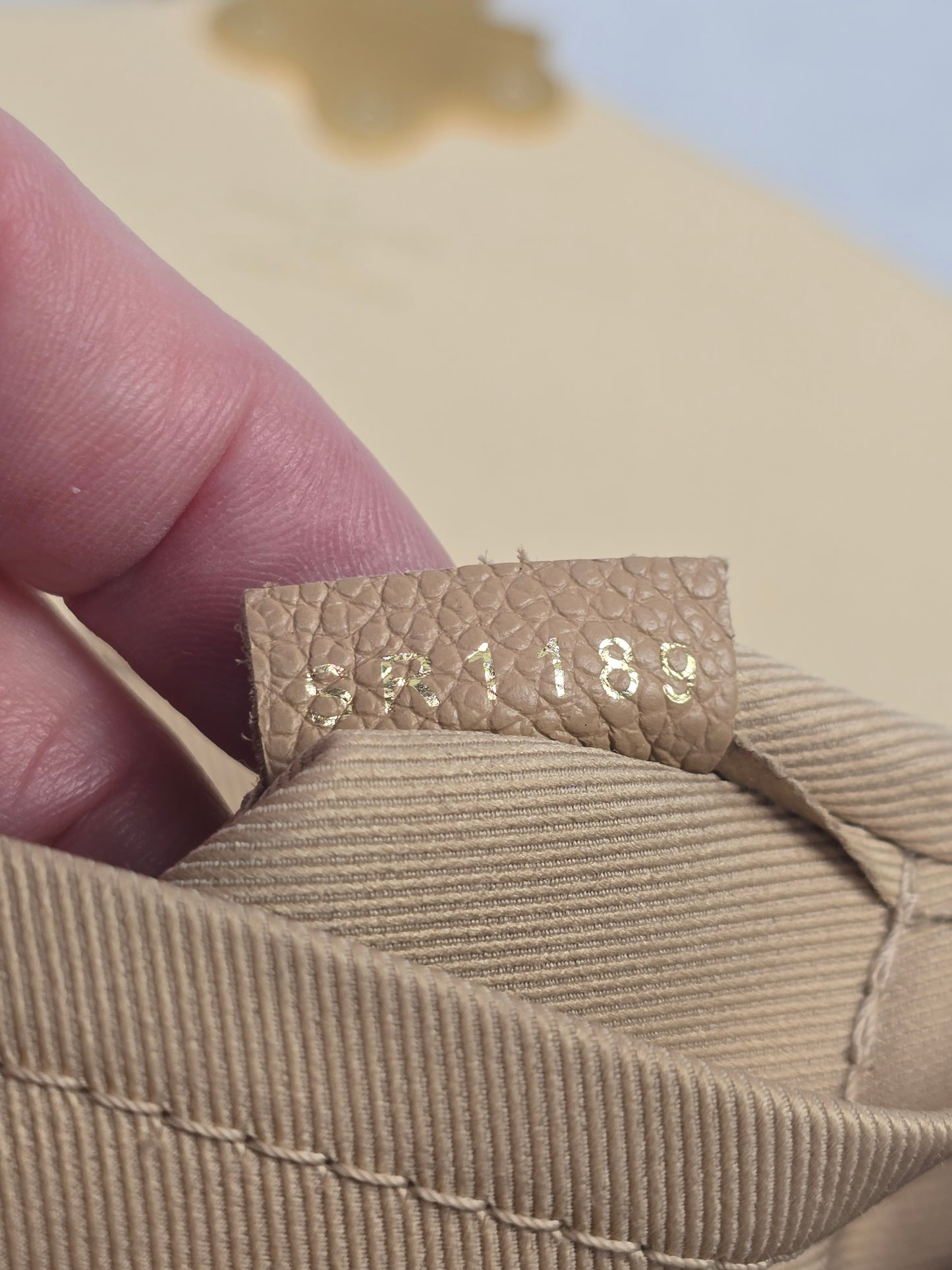 Louis Vuitton Damier Ebene Clapton Backpack Creme
