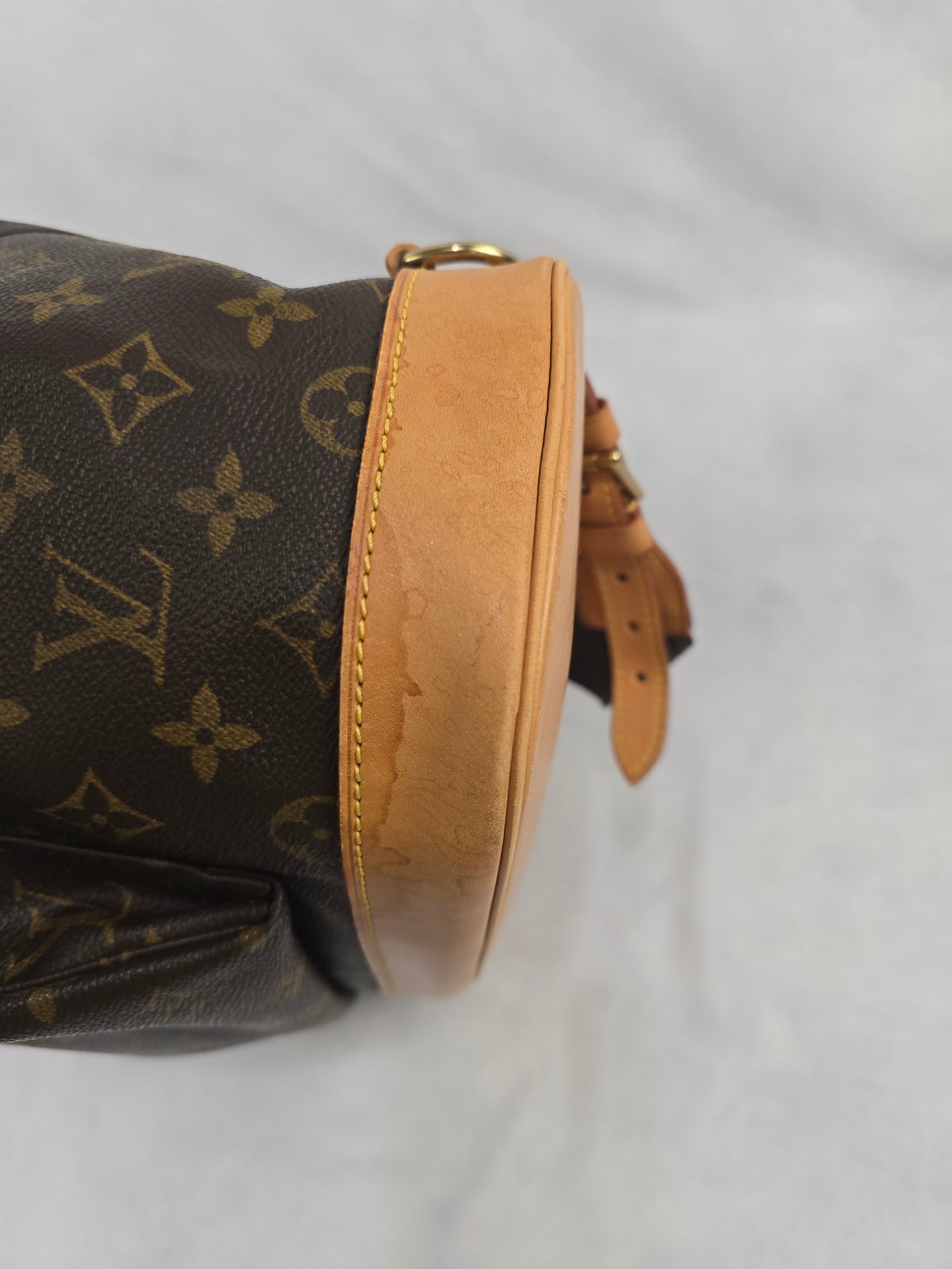 Louis Vuitton Monogram Montsouris GM Backpack