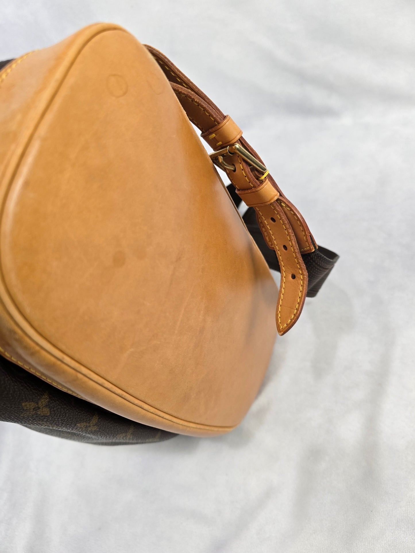 Louis Vuitton Monogram Montsouris GM Backpack