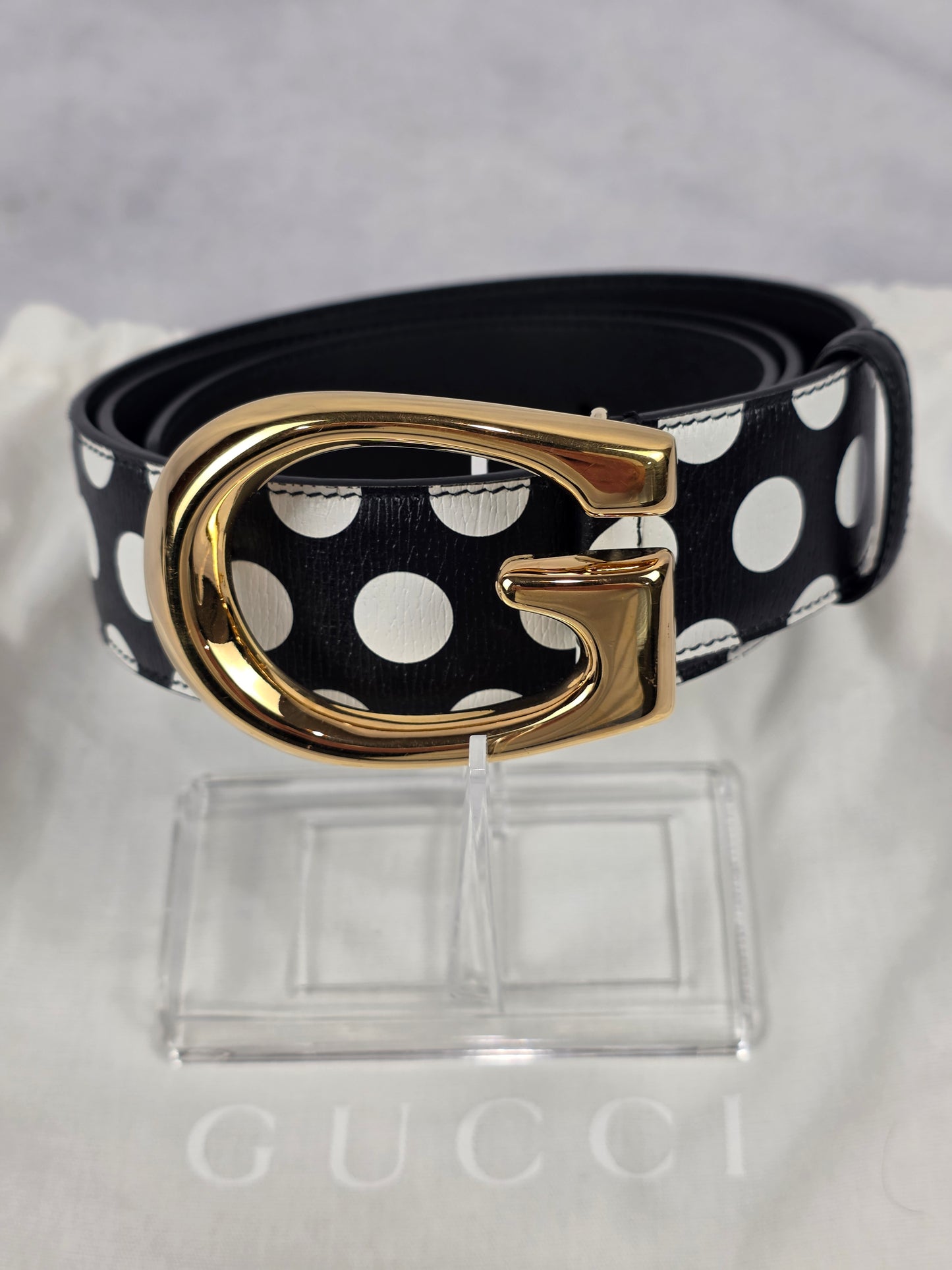 Gucci Polka Dot Leather Belt with Gold Memorable G Buckle (Size 100 cm - 40")))