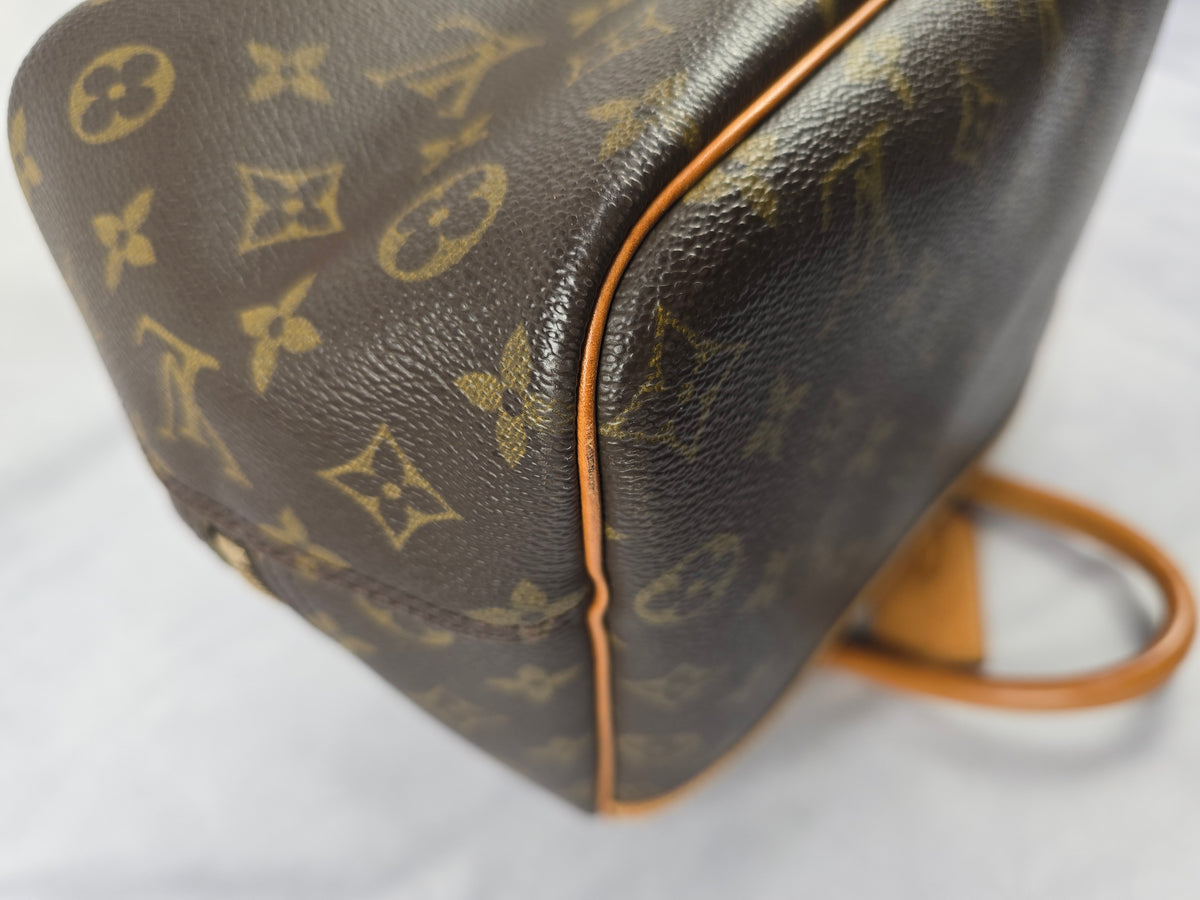 Louis Vuitton Monogram Deauville